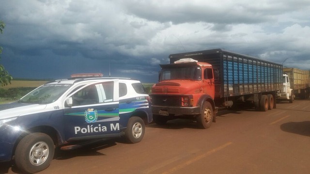 Morador da região de Três Lagoas é preso por crime de abigeato Foto: Divulgação.