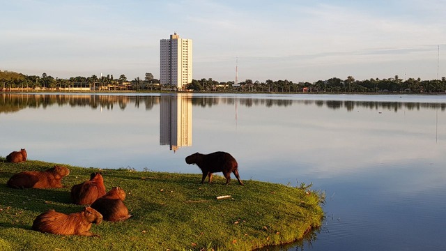 Sexta-feira amanhece ensolarada em Três Lagoas. (Foto: Ricardo Ojeda)