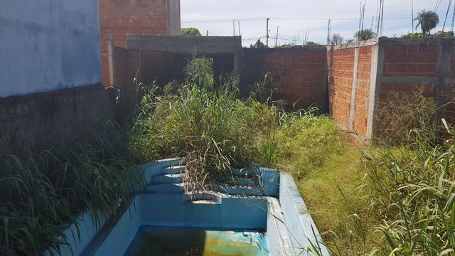 O terreno está em completo abandono, com mato alto e vários entulhos. No local há também uma piscina com acúmulo de água suja, além do início de duas construções.(Foto: Paulo Rezende)