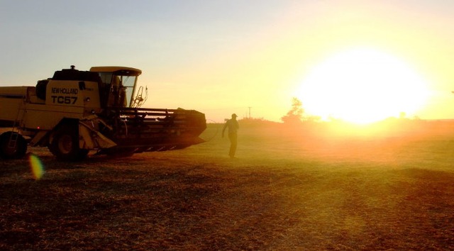 Agronegócio e Serviços contratam e geração de emprego em MS é a melhor dos últimos seis anos Análise foi feita pela equipe econômica da Secretaria de Estado de Meio Ambiente, Desenvolvimento Econômico, Produção e Agricultura Familiar (Semagro). (Foto: Divulgação)