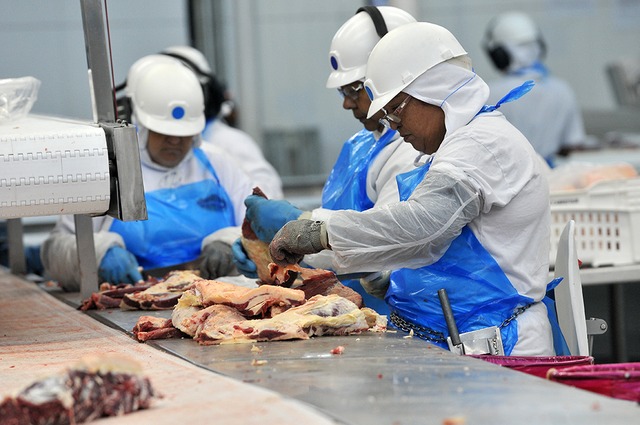 Celulose, carne bovina e minério de ferro puxam para cima exportação industrial de MS O grupo “Couros e Peles” teve receita de US$ 8,4 milhões e os principais produtos foram outros couros e peles não divididos de bovinos (Foto/Assessoria)