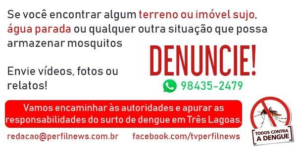 Prefeitura já notificou mais de dois mil terrenos baldios neste ano Perfil News está encabeçando uma campanha contra locais que possam ser criadouros do mosquito da dengue. Denuncie!