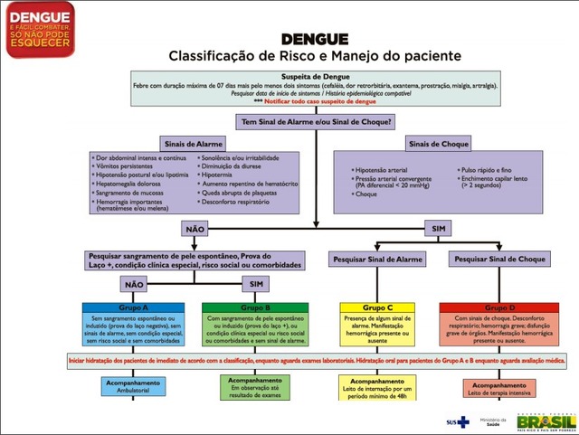 Classificação de risco e manejo de paciente para dengue, em documento divulgado pelo Ministério da Saúde. Reprodução