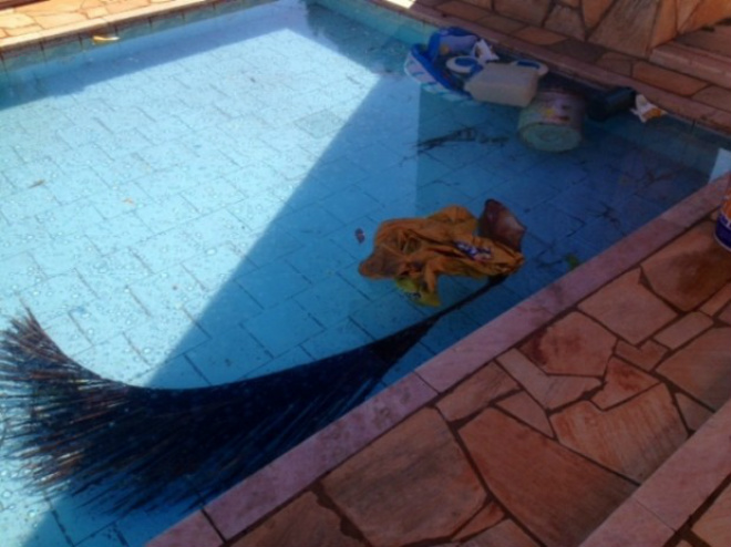 Galões de lavagem e lixo foram lançados  dentro da piscina da entidade (Foto: Acácio Gomes/Nova News) 