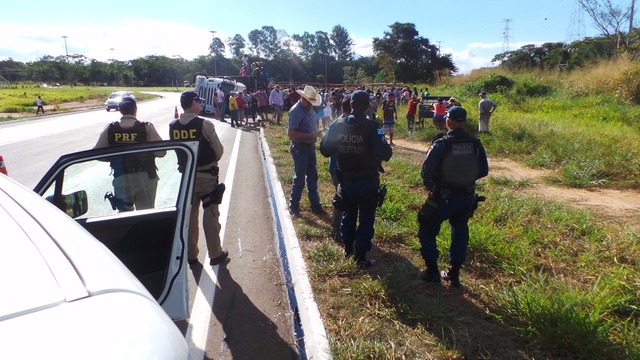 Após acidente envolvendo carreta, gado é removido na BR 262 A presenças de agentes da PRF e PM gataram que a ordem no local fosse garantida(Foto: Ricardo Ojeda)