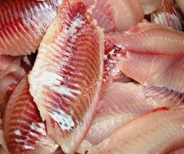 Frigorífico de peixes GeneSeas quer ampliar produção em 80% Situada em São Paulo e Mato Grosso do Sul, a GeneSeas é uma empresa 100% brasileira, especialista em pescados. - Foto: Divulgação web