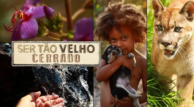 Documentário gratuito no MIS aborda desafios para conservação do Cerrado