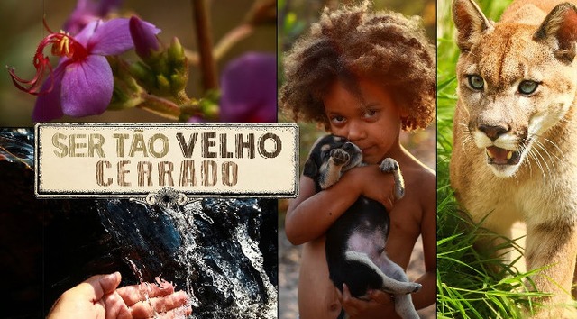 Documentário gratuito no MIS aborda desafios para conservação do Cerrado Documentário gratuito no MIS aborda desafios para conservação do Cerrado