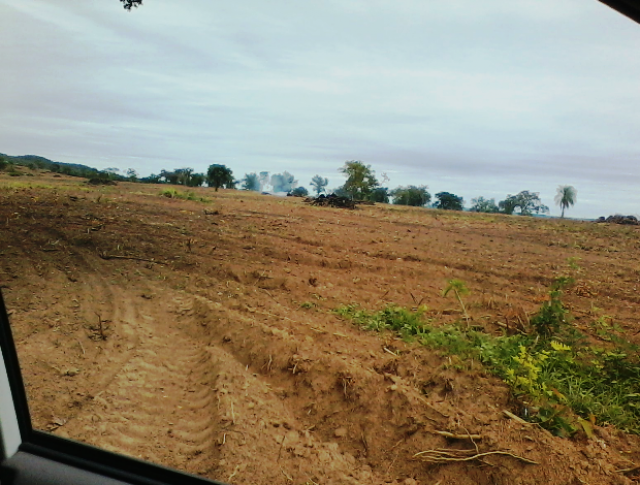 Ele havia colocado fogo em 120 leiras, de um desmatamento legalizado em sua propriedade, sem autorização ambiental (Foto: Assecom PMA)