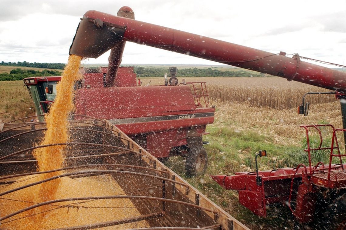 Produção de grãos no Brasil deve crescer 1,6% este ano, diz IBGE Imagem de Arquivo/Agência Brasil