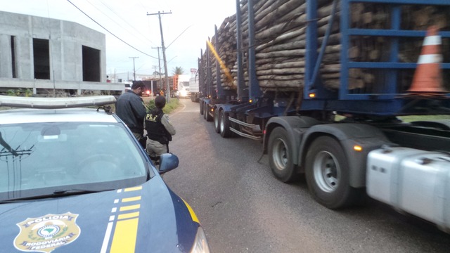 A pronta ação dos agentes da PRF no trevo de acesso para Brasilândia impediu a formação de congestionamento na BR 262.(Foto: Ricardo Ojeda)  