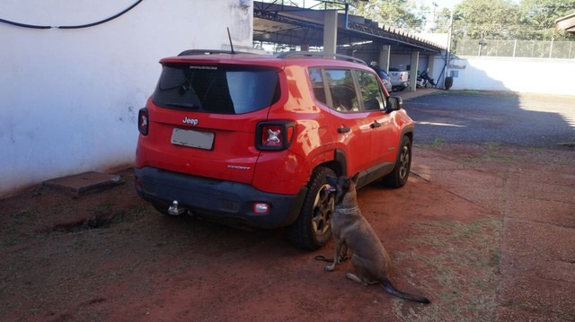PF encontra mais maconha em carro do filho da desembargadora preso por tráfico após um ano Cadela farejadora acha droga em carro apreendido com filho de desembargadora em MS (Foto: PF/Divulgação)