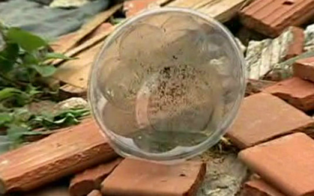 Dengue avança no Estado e Bolsão tem nove cidades com alta incidência Continuam os esforços da administração municipal em dar combate ao mosquito transmissor da doença em Três Lagoas (Foto: Arquivo/Perfil News)