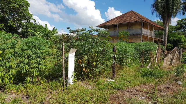 Distante a uns 200 metros da Lagoa Maior, ao meio ao mato e plantação de mandioca, casa de madeira considerada de alto padrão na época que foi construída ainda está de pé sobrevivendo ao tempo que nos remete ao passado de várias décadas (Foto: Ricardo Ojeda) 