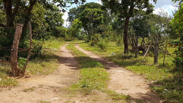 Porteira de uma propriedade rural localizado no coração da cidade (Foto: Ricardo Ojeda)