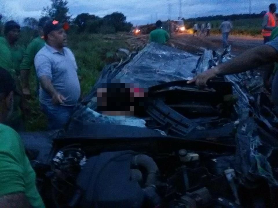 Carreta com eucalipto tomba em cima de carro com mãe e filho dentro Carro ficou totalmente destruído. (Foto: Divulgação).