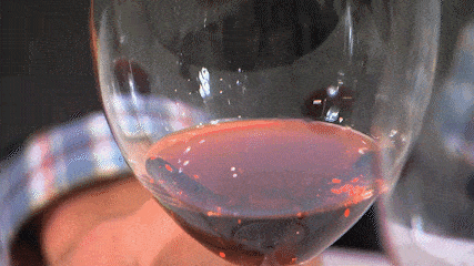 8 curiosidades sobre vinhos que todo (novo) adulto deveria saber 8 curiosidades sobre vinhos que todo (novo) adulto deveria saber