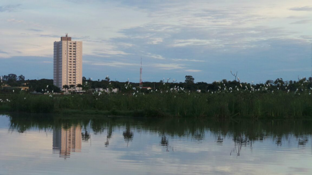 A revoada de alguns pássaros na Lagoa Maior hoje (31) em Três Lagoas, pôde ser captada. (Foto: Ricardo Ojeda)