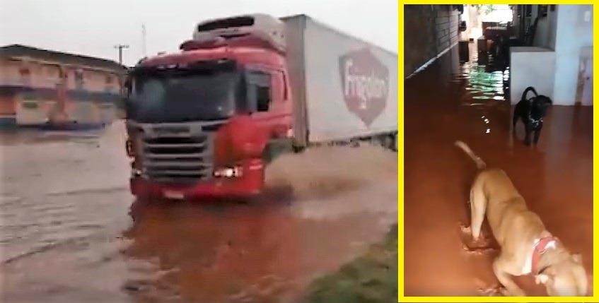 Em 40 minutos, chuva interdita rodovia de Bataguassu e água invade casas e comércio Região central da cidade ficou tomada pela água. (Fotos: Reprodução - Divulgação).