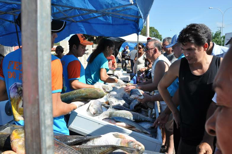 Evento satisfez consumidores e pode virar tradição em Três Lagoas Várias espécies de peixes foram oferecidas aos consumidores, durante a realização da feira (Foto: Divulgação)