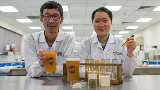 Cientistas asiáticos criam cerveja probiótica com lactobacilos vivos O professor Liu Shao Quan supervisionou o estudo da pesquisadora Chan Meu Zhi Alcine (Foto: National University of Singapore)