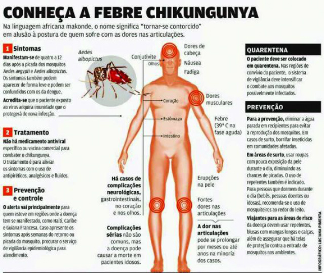 ABHH orienta população sobre riscos de transfusão de sangue contaminado com o vírus Chikungunya ABHH orienta população sobre riscos de transfusão de sangue contaminado com o vírus Chikungunya