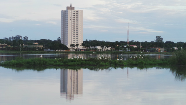 Lagoa Maior, beleza natural de uma paisagem que se renova todos os dias, em Três Lagoas Após uma noite de chuva, logo nas primeiras horas da manhã as garças se concentram na ilha, no meio da lagoa que espelham as imagens dos prédios e da vegetação (Foto: Ricardo Ojeda)