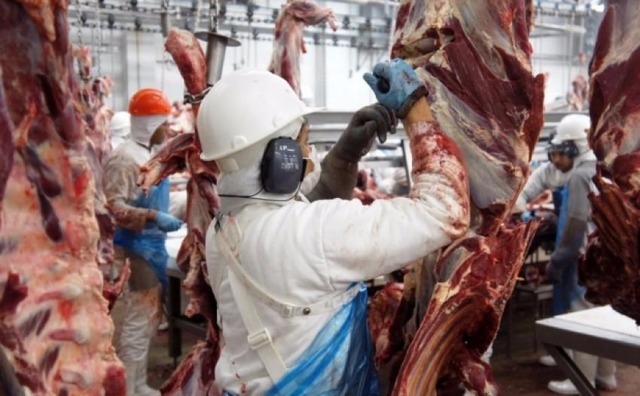 Frigoríficos menores ganham espaço no mercado após eventos no setor da carne em MS (Foto/Divulgação)