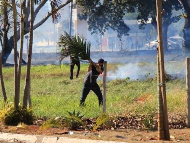 Lei quer reforçar alerta sobre queimadas em lixo e vegetação (Foto: Marina Pacheco - Arquivo)