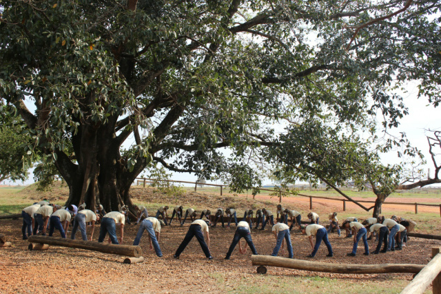 Crianças do Programa Patrulha Florestinha participam de atividades educativas durante visita à fábrica da Eldorado (Foto: Divulgação/Assecom)