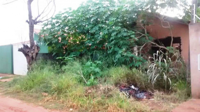 Internauta reclama de imóvel abandonado que abriga criminosos, cobras, caramujos e mosquito da dengue O mato tomou conta do terreno e o que seria uma casa está sendo destruída pela ação do tempo e de vândalos (Foto: Internauta)