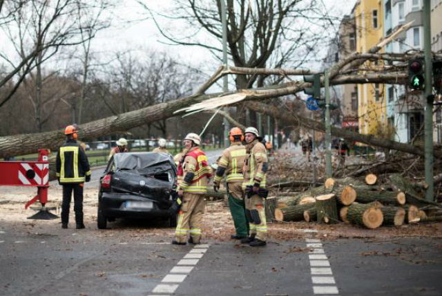 Serviço de emergência alemão limpam a área onde uma árvore caiu sobre um carro em uma rua de Berlim (Foto: DPA/Agência Lusa)