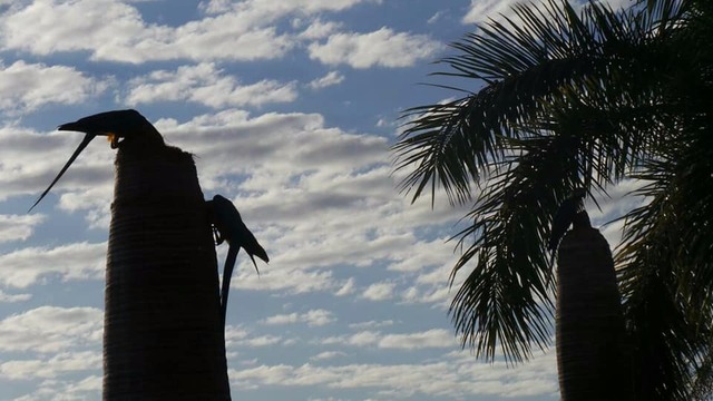 Terça-feira começa gelada em Três Lagoas Manhã começa com sol entre nuvens (Foto/Ricardo Ojeda)
