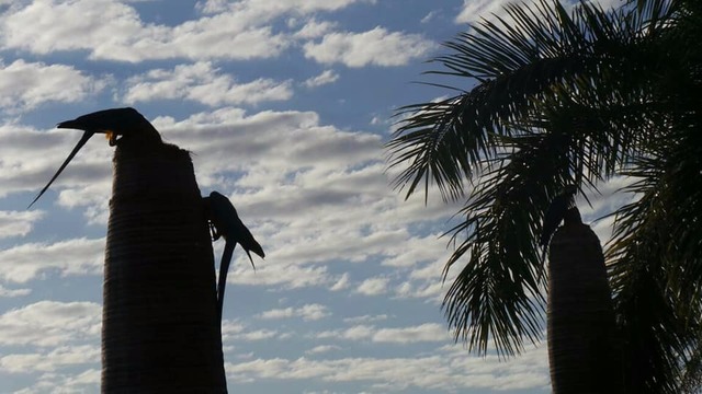 Manhã começa com sol entre nuvens (Foto/Ricardo Ojeda)