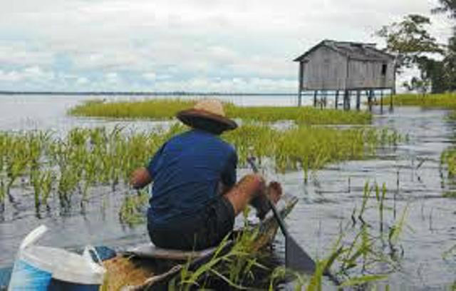 Para fazer jus ao seguro, o pescador artesanal deve estar registrado junto ao Ministério da Pesca e Aquicultura (Foto: Google)