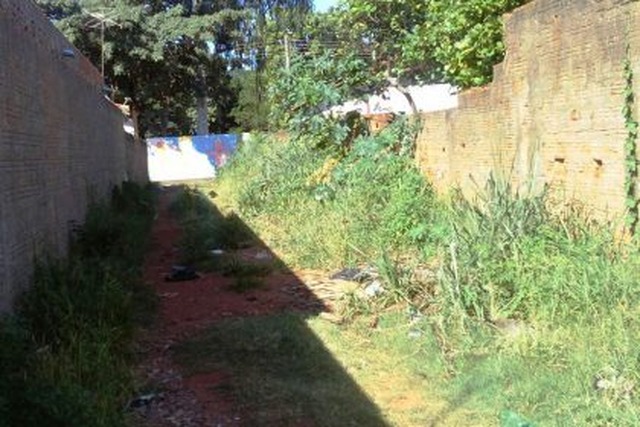 DENGUE: todos os donos de terrenos baldios de Três Lagoas serão notificados na próxima semana Após as notificações, os fiscais do Departamento de Fiscalização de Obras e Posturas irão fazer o trabalho in loco, dividindo por bairros (Foto/Assessoria)