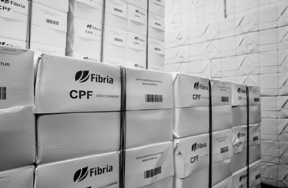 Suzano e Fibria se unem e dão origem a gigante de celulose Suzano e Fibria se unem e dão origem a gigante de celulose