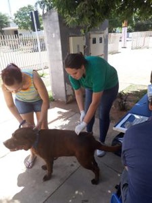 Castramóvel já se encontra no pátio da Escola Professora “Eufrosina Pinto”