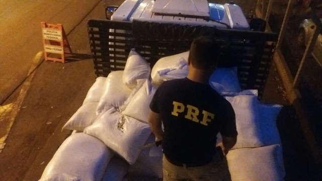 Homem é preso com sementes de maconha em meio a 13 toneladas de milho (Foto: G1)