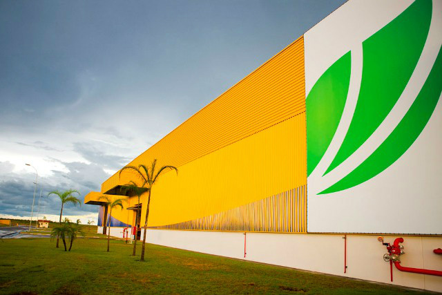 Fibria apoia elaboração do Plano Diretor Participativo de Brasilândia A Fibria é líder mundial na produção de celulose de eucalipto (Foto: Divulgação)