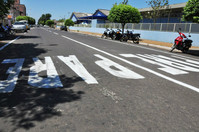 Em colaboração à iniciativa, a Eldorado Brasil Celulose (www.eldoradobrasil.com.br) distribuirá marca-páginas informativos e sacolinhas de lixo para motoristas nas blitz ao longo da semana (Foto: Divulgação/Assecom)