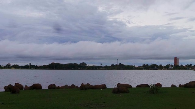 Manhã de domingo se inicia com poucas nuvens (Foto/Ricardo Ojeda)