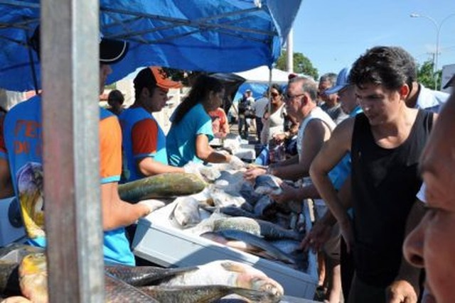 Feira Livre terá funcionamento extra no final do ano Na quinta-feira (20) acontecerá a feira noturna, com início às 17h e término às 22h (Foto/Assessoria)