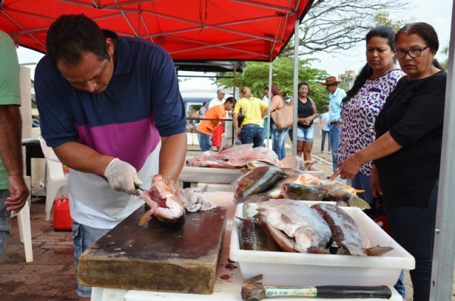 Feira do Peixe vendeu quase 10 mil quilos de pescado Organizadores estimam que foram comercializados quase 10 mil kg de peixe. (Foto: Divulgação/Assecom)
