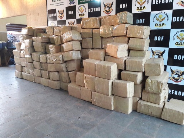 DOF divulga recorde nos números de apreensões de maconha Só neste mês de junho foram apreendidas 15,2 toneladas da droga (Foto: DOF/Divulgação)
