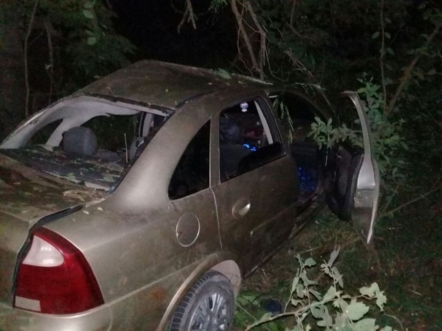 Criança morre e outros 4 ficam feridos após carro sair da pista e bater em árvore em MS (Foto: Corpo de Bombeiros/Divulgação)