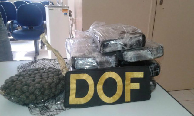 DOF apreende mais de 660 quilos de drogas e recupera veículos Pacotes de maconha e bolas de haxixe, também apreendidos durante a operação (Foto: Divulgação)