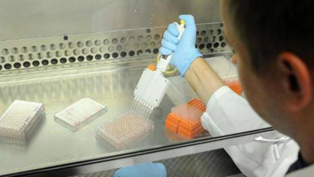 Camex zera por seis meses imposto de importação de soroalbumina humana A alíquota original incidente sobre o produto é de 4% (Foto: Reprodução)