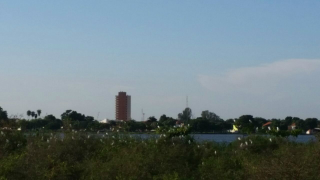 Pela manhã de hoje (08), o céu estava sem nuvens. No detalhe alguns pássaros em plantas na Lagoa Maior. (Foto: Ricardo Ojeda) 