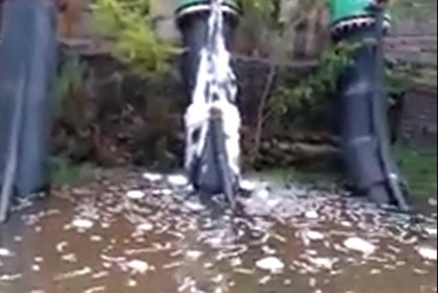 Fibria esclarece vídeo que denuncia crime ambiental no Rio Paraná A espuma observadas no Rio Paraná, na saída do emissário de efluentes foi provocada por pela entrada de ar na tubulação, mas já foi devidamente solucionado (Foto: Divulgação)